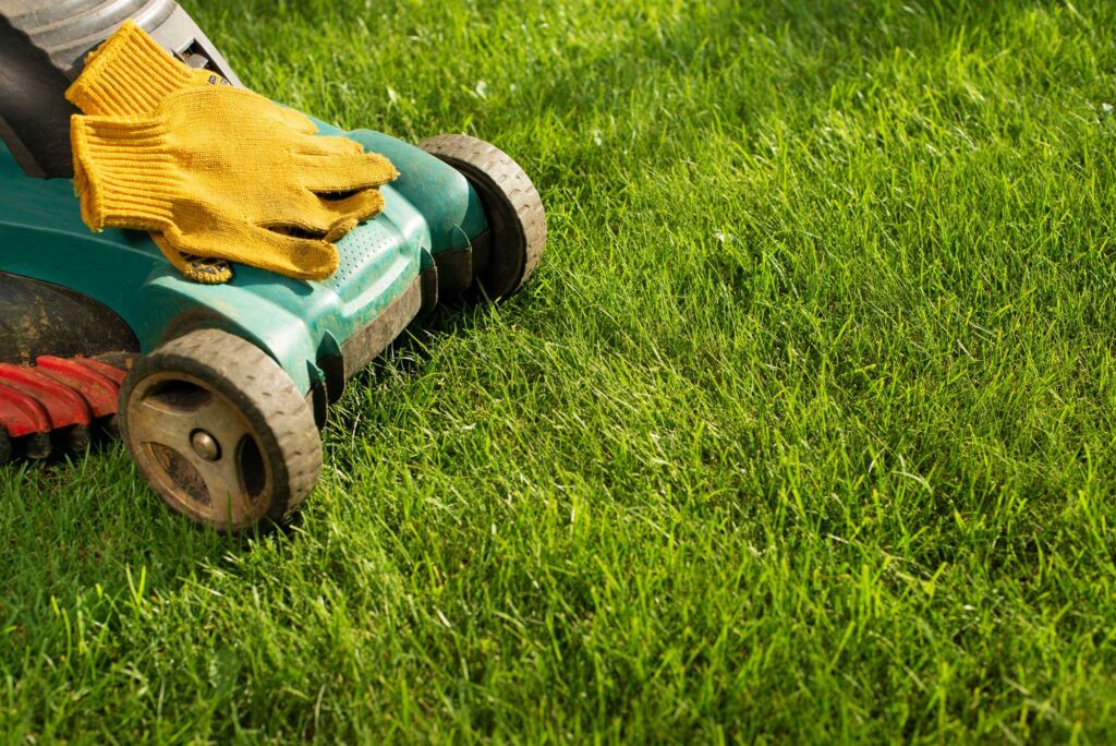 Buffalo, NY - Lawn Care Service