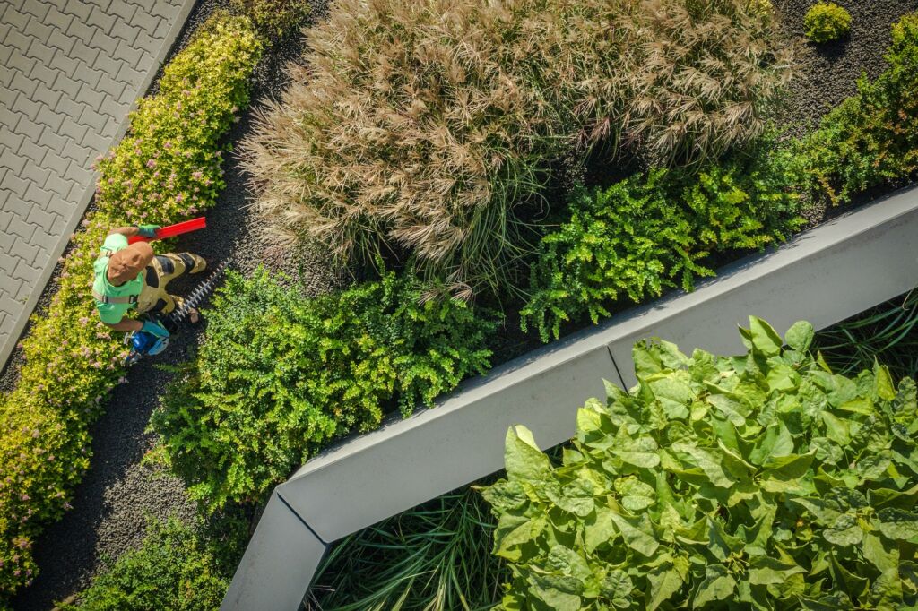 Gardener Trims Bushes And Cuts Hedges