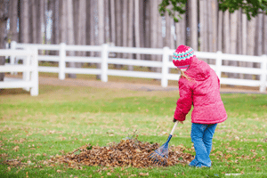 Fall Lawn Care | healthy |spring | grass | mowing| Aerate | Fertilize | seed