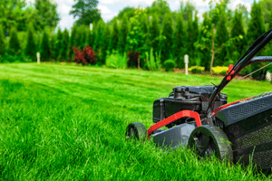 Techniques | Mowing | Required| Equipment:​