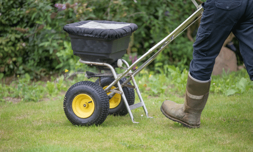 Fall Lawn Care | healthy |spring | grass | mowing| Aerate | Fertilize