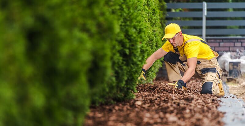 Low mulch creation