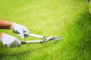 when is early spring for lawn care - RDK Landscape