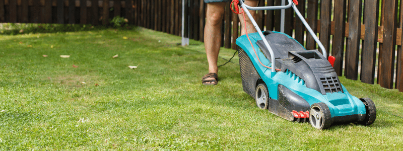 landscape| lawn care services | Fall Lawn Care | healthy |spring | grass | mowing| Aerate | Fertilize