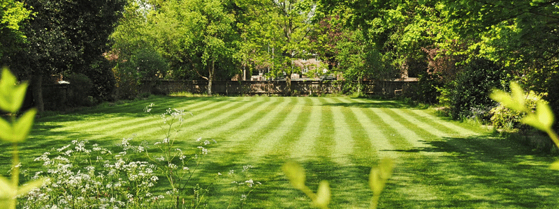 Lawn's | Spring | Lawn Preparation