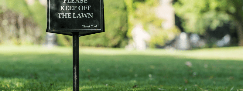 Get | Greener | Thicker | Healthier | Lawn | Tips