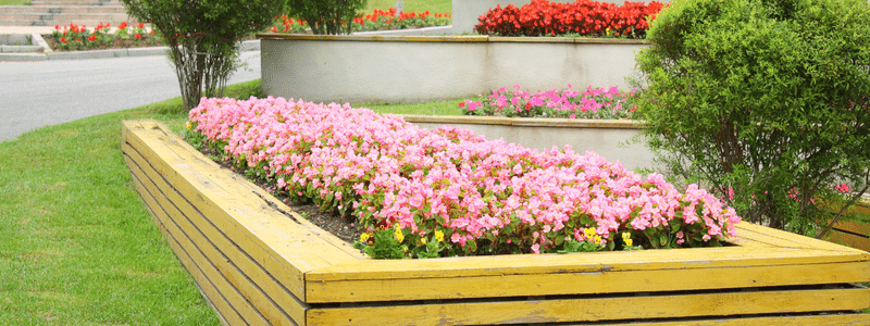 Prepare Flower Beds Spring Planting