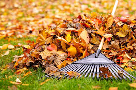 Remove Fall Leaves from Your Yard - RDK Landscaping